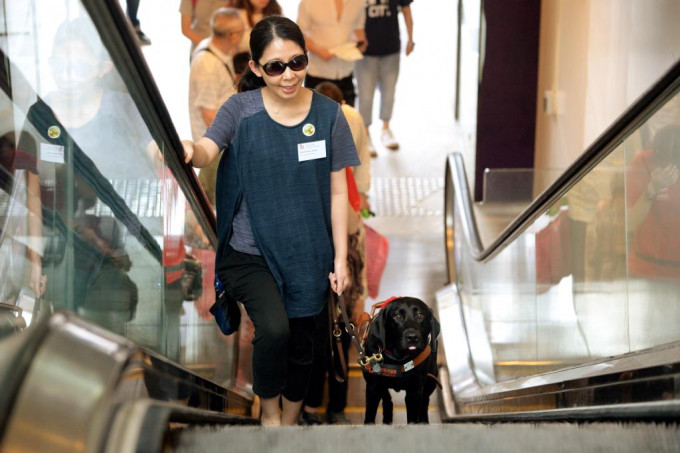 英語時間 Hong Kong Gets New Guide Dogs 607期 星島日報