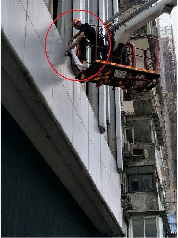 消防駕起雲梯將班鳩救下。相片讀者提供