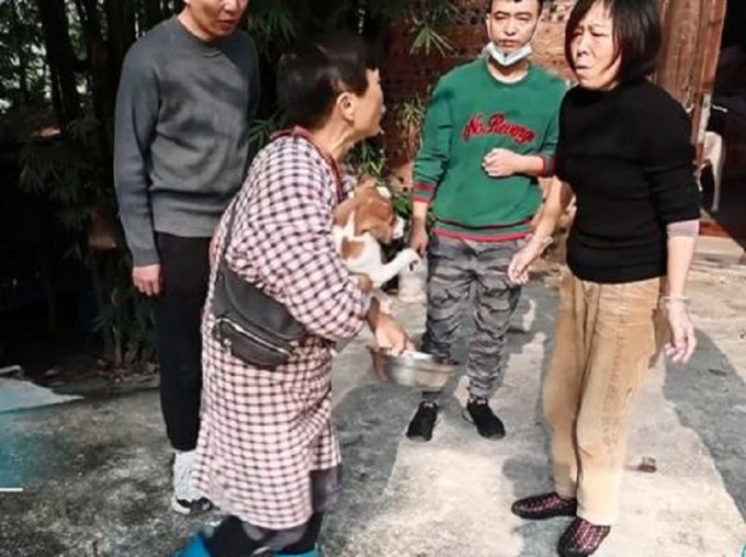 重慶68歲老人救助上千隻流浪動物。網上圖片