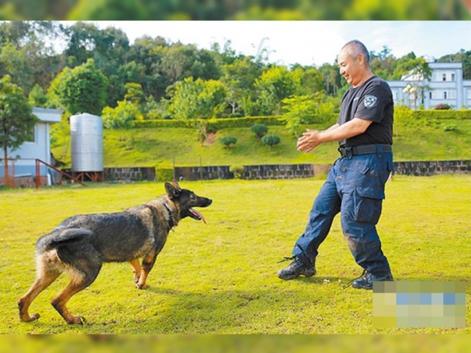 图为警员李华和警犬「化煌马」。网上图片