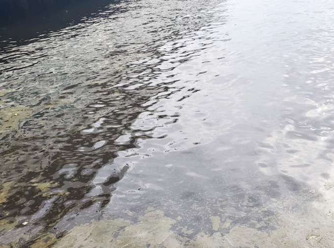 尖沙嘴海港城對開海面出現大片黃白色泡沫，疑是紅潮。