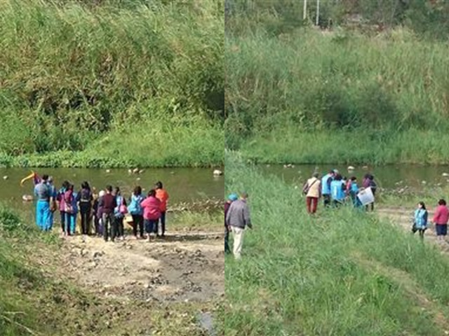 有信徒自行攜帶逾百隻巴西幼龜，並準備到附近的溪流進行放生祈福。網圖