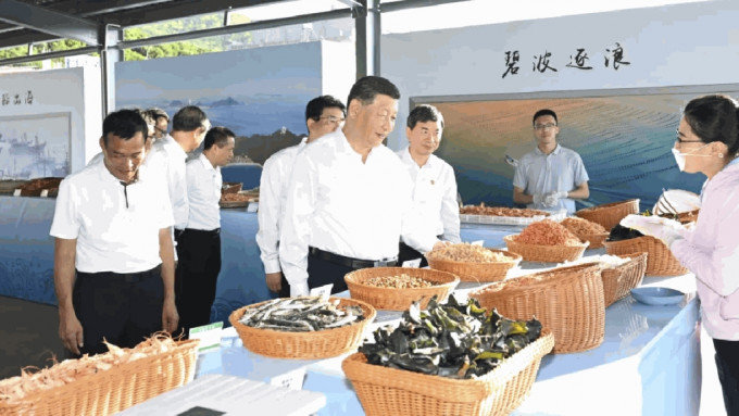 习近平考察福建漳州市。（新华社）