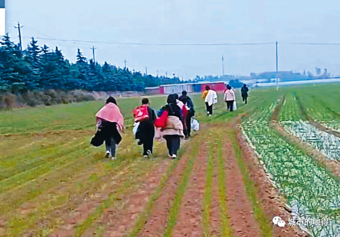 郑州富士康工人为「逃疫」，徒步返乡。
