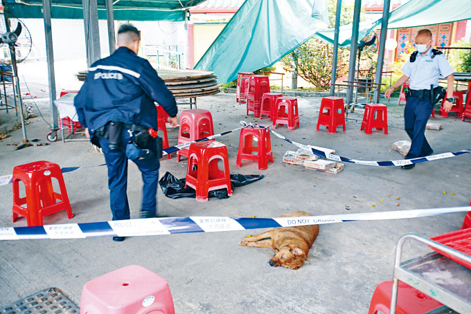 其中一犬倒毙在云泉仙馆内，警方在场调查。