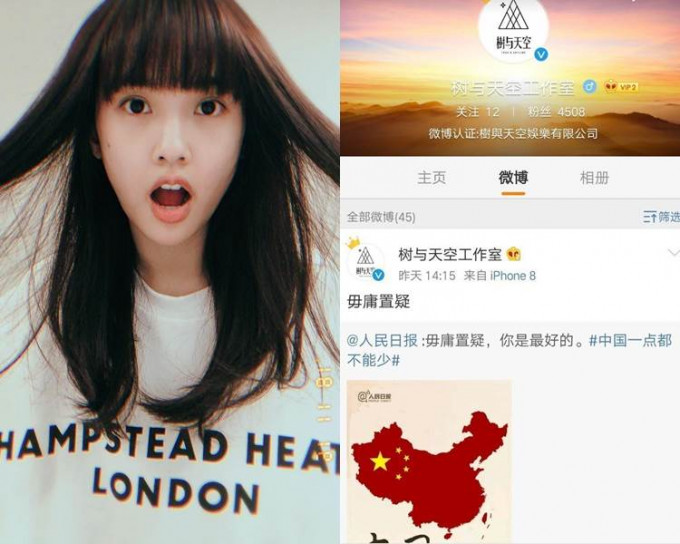 杨丞琳个人工作室的微博转发「中国一点都不能少」图文后，已急急删除帖文。（微博图片）