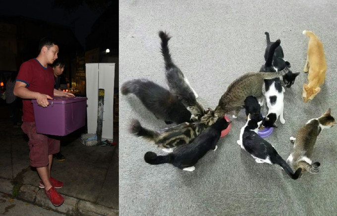 八乡木厂大火中有最少9只猫咪遇难。徐裕民摄；右图为依时宠物用品有限公司fb专页图片