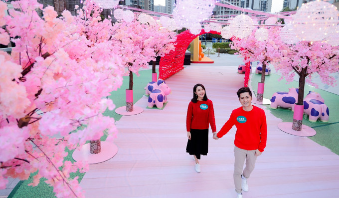 荃灣廣場滿布櫻花樹的粉紅櫻花步道，最啱和另一半甜甜蜜蜜打卡。