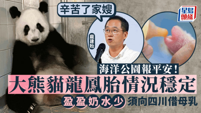 港产大熊猫︱庞建贻：乐乐不知子女存在 园方与盈盈轮流照顾宝宝 情况稳定