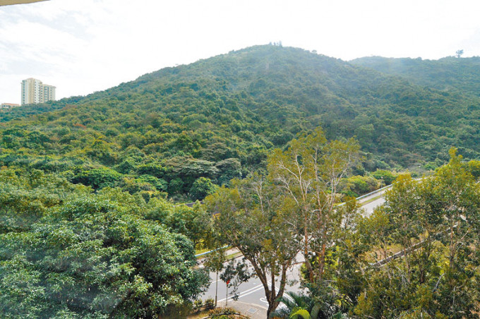 ■香港興業持有的愉景灣地皮，向城規會申建476伙。