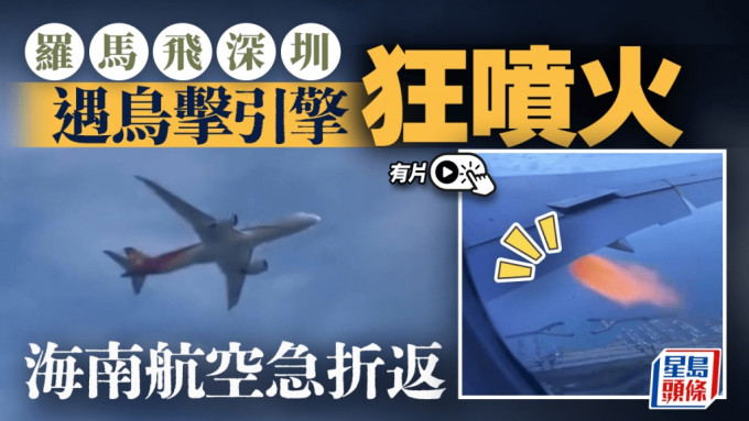 \\" 海南航空︱罗马至深圳航班遇鸟击 机翼喷火舌紧急折返︱有片\\"