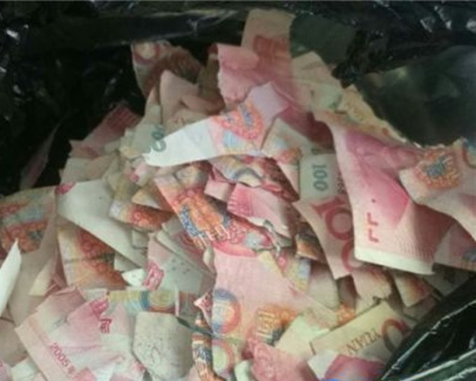 青島一名小童將五萬元鈔票撕成碎片。網上圖片