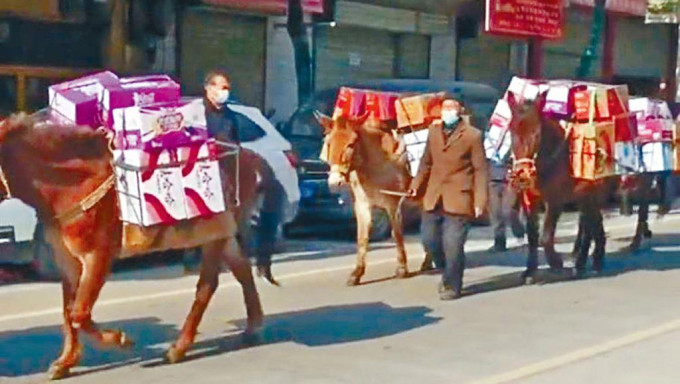 陝西街頭見「馬幫」運投疫物資。