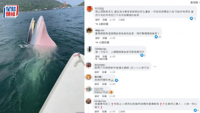 網民批評觀鯨者是凶手。