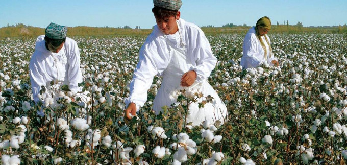 报道指美国或禁止入口新疆棉制品。网图