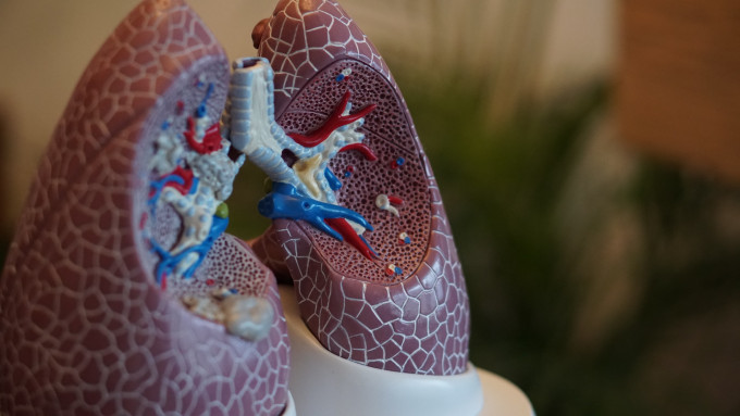 肺纤维化是「难治病」之一，需要长时间治理，耐性少一点也会放弃治疗。（Robina Weermeijer / Unsplash图片）