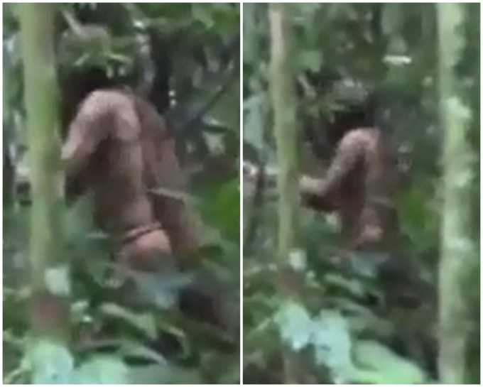 50多歲半裸男子正用斧頭砍樹。網圖