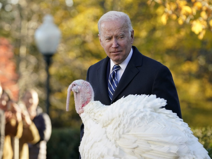 拜登返回白宮按傳統為感恩節主持特赦火雞儀式。AP