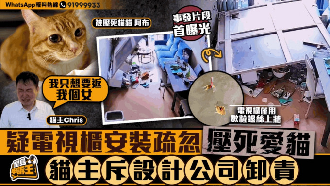 星岛申诉王｜家中电视柜倒塌压死爱猫 猫主控诉设计公司离谱失职 誓为「女儿」讨回公道