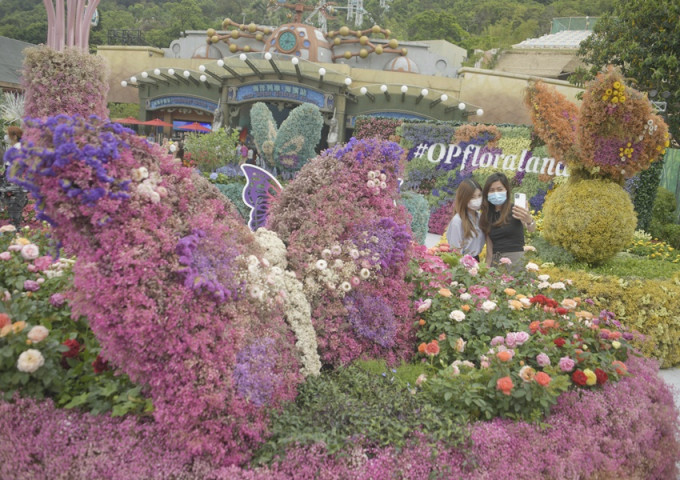 海洋公园将举办以蝴蝶为主题的「蝶舞花旅」花艺展览。
