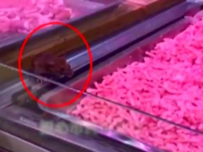 广西超市惊见老鼠啃肉馅。（网图）
