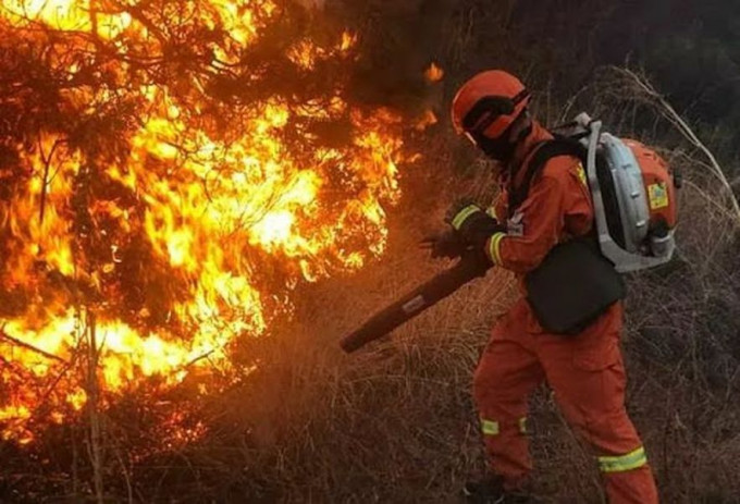 內地森林消防員（非當事人）。 網圖