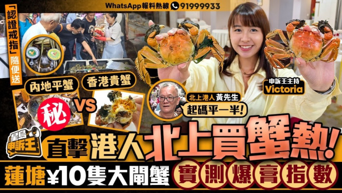 星岛申诉王｜直击港人北上买大闸蟹   莲塘¥10只大闸蟹   实测爆膏指数