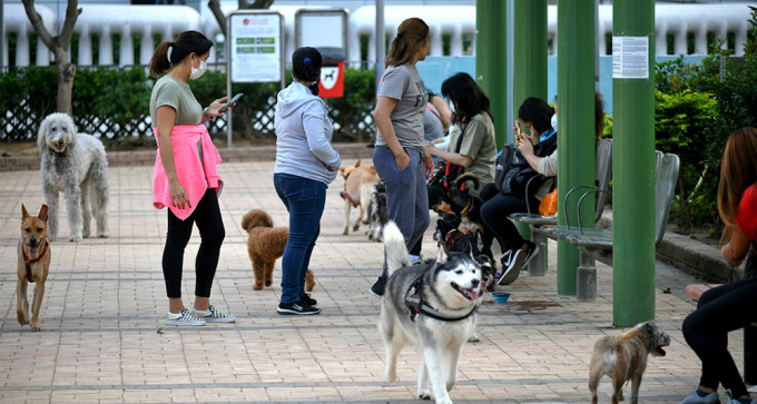 7月起，寵物將會有更多休憩的地方。（資料圖片）