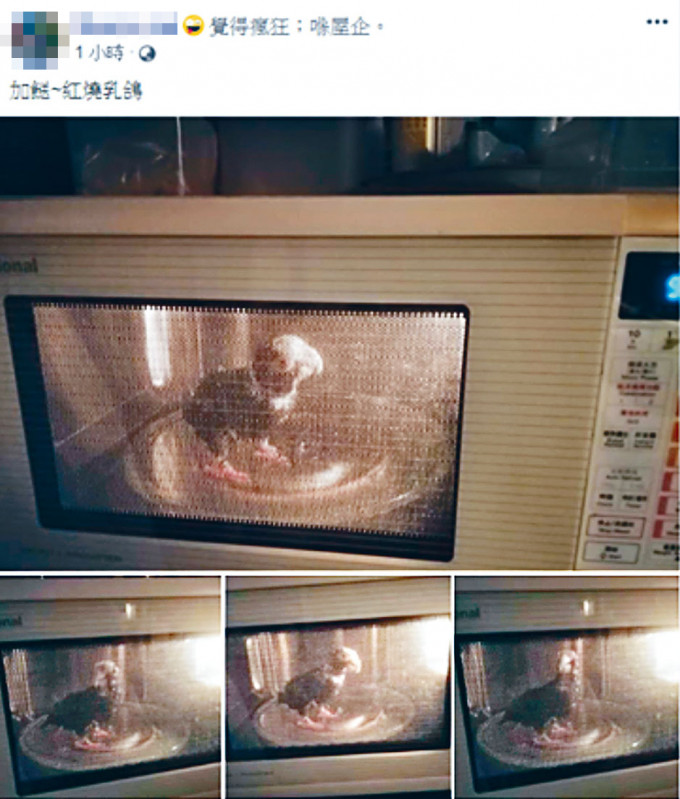 鸚鵡被放進微波爐的照片惹起爭議。　
　　