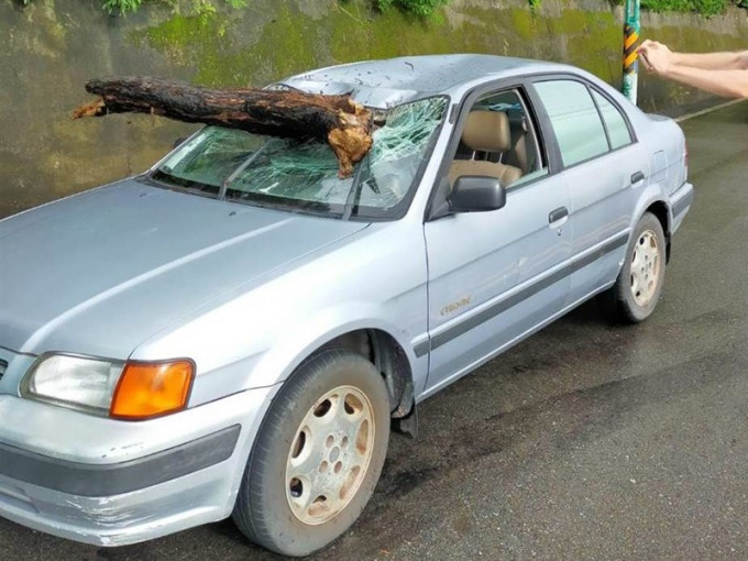 樹幹貫穿擋風玻璃插入車廂內。中時