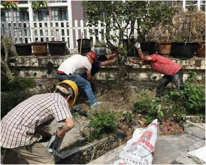 当局派员到来强制拆除花园。