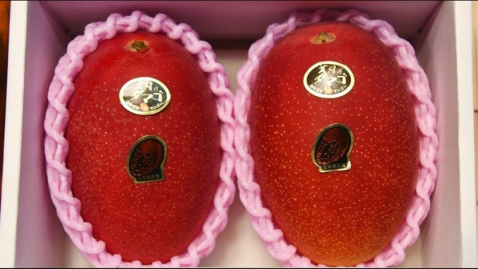 日本宫崎县产顶级芒果「太阳蛋」年度首拍，一盒2个的「太阳蛋」以50万日圆成交，创下纪录。(网图)