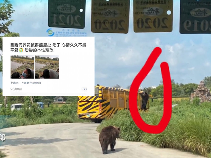 上海野生動物園飼養員被熊群襲擊，遭分屍慘死。微博影片截圖