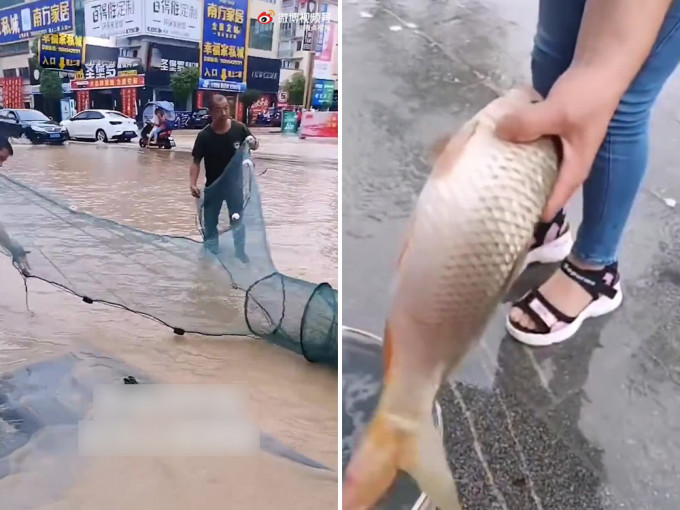 暴雨過後街道變河流， 貴州市民紛紛街上撈魚，有的甚至拉起了魚網。