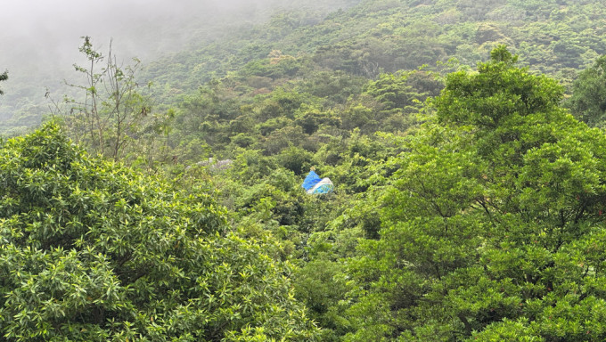 滑翔伞搁在树丛内惹来撞树被困虚惊。梁国峰摄
