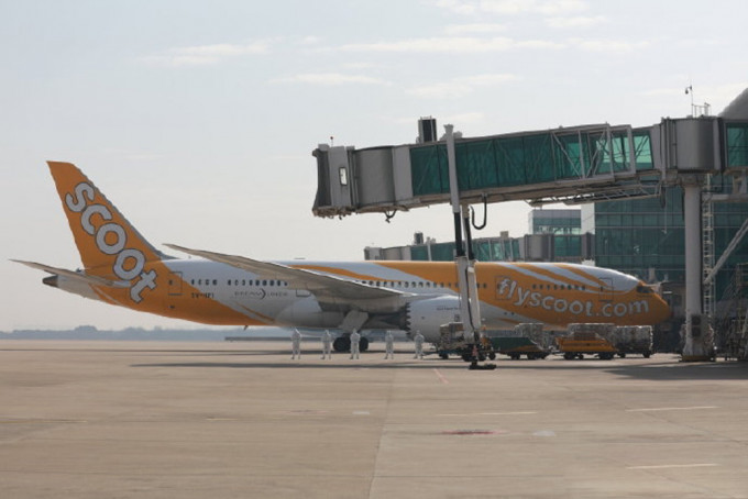 世衞专家组乘坐的航班早上抵达武汉天河机场。（网图）