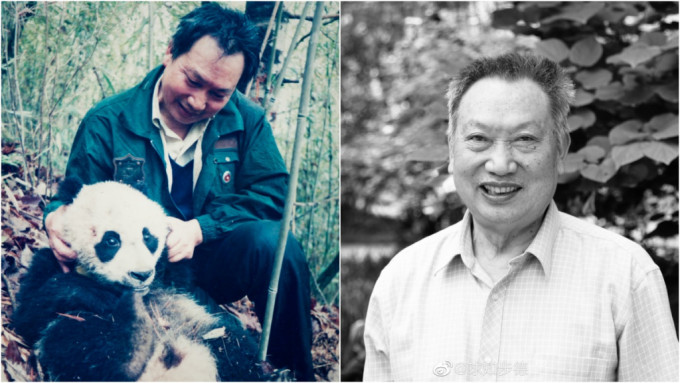 「中国大猫熊之父」胡锦矗病逝。网图
