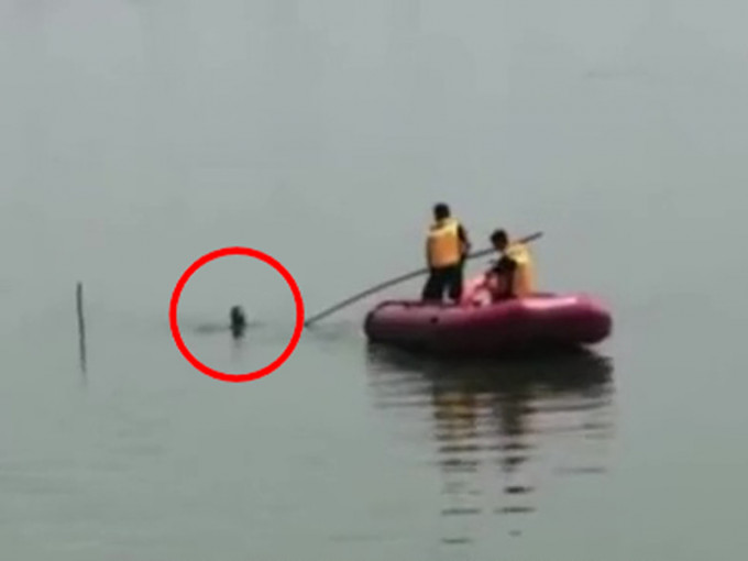 钓鱼男子（红圈）因体力不继，只好抓紧插在湖里的竹竿等待拯救。（网图）