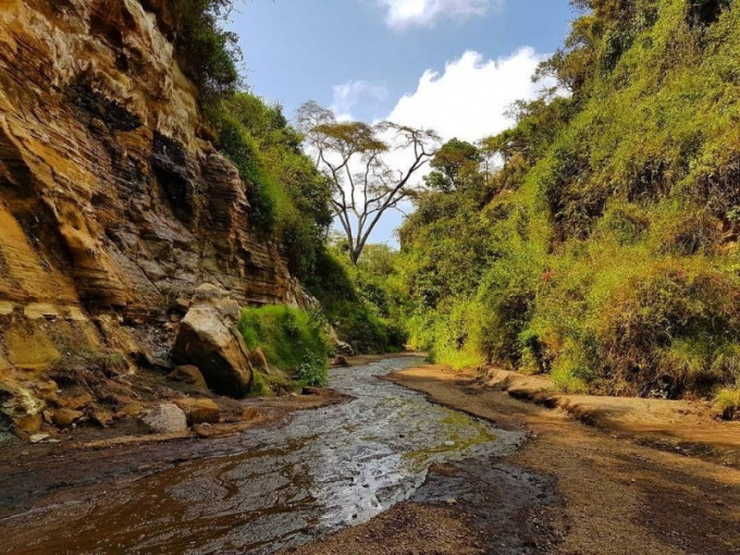 「地狱门国家公园」是肯亚著名的旅游景点，据称《狮子王》的荣耀石（Pride Rock）也是从国家公园得到灵感。(网图)