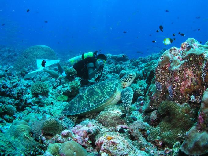 帛琉(Palau)以美丽的海底世界闻名。资料图片