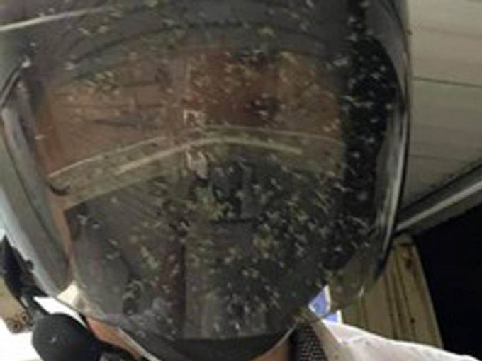 男子由頭盔至上衣全佈滿密密麻麻的蚊子屍體。圖:爆廢公社
