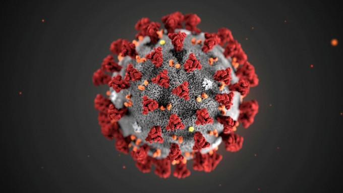 新冠病毒。网图