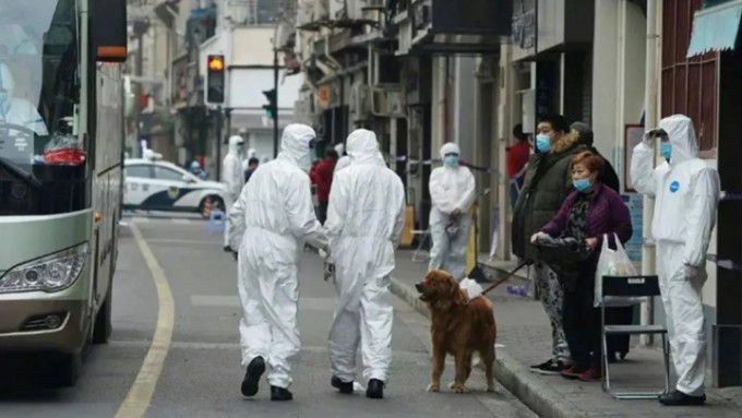 上海有寵物主人組織群組，以便一旦被隔離時互相協助照顧寵物。網上圖片