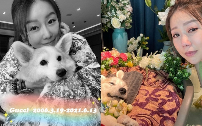張韋怡為愛犬舉行簡單而隆重的喪禮。