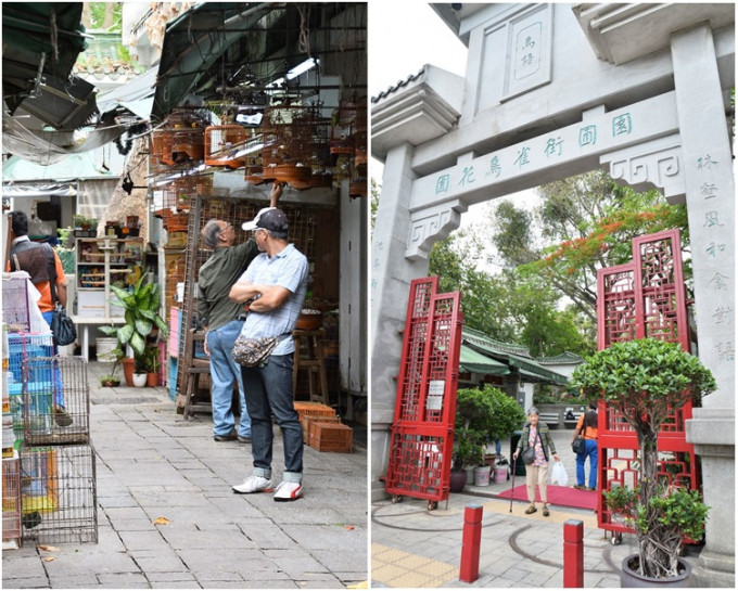 雀鳥花園重開，園內恢復熱鬧。