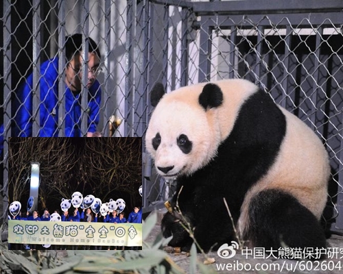 大熊猫基地用中文写上标语，向在美国出生的大熊猫「宝宝」表示欢迎「回家」。