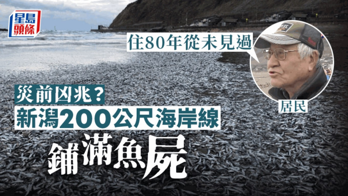 日本新舄县海量沙甸鱼冲上岸  引居民恐慌