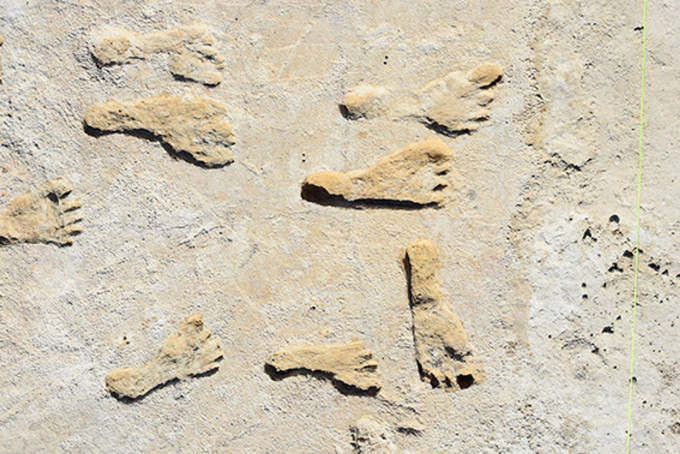白沙国家公园湖床的足印化石成为了考古的突破。互联网图片