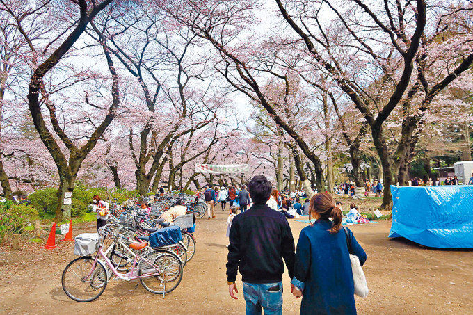 禤国全指，日本樱花季3月下旬开始，现撤销航班限制，旅行社亦来不及招客。