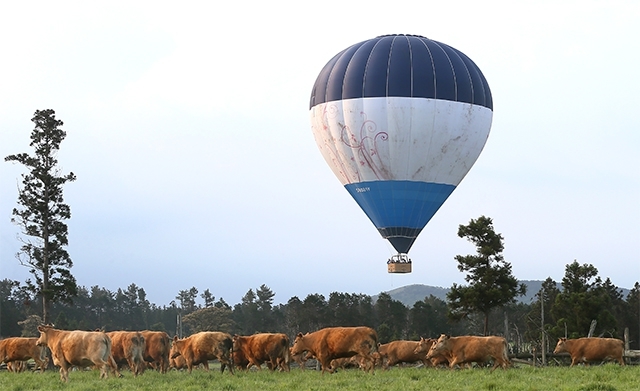 飛越濟州的熱氣球。（資料圖片）